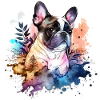 Bouledogue français