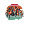 Spider Lover Gifts