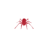 Spider Lover Gifts