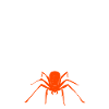 Spider Lover Gifts