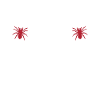Spider Lover Gifts