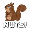 Cute Hungry Squirrel