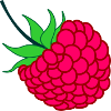 Raspberry