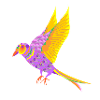 Bunter Vogel - fliegt