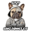 Frenchie Spruch Sitz