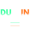 Dublin Irlande - Saint Patrick