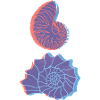 Mussels Risograph