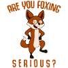 Fox funny joke foxes