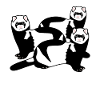 Crazy into Ferrets