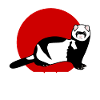 Ferrets Ferret