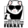 Ferrets Sunglasses Ferret