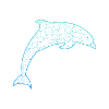 Delfin dolphin