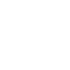 Delfin dolphin