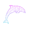 Delfin dolphin