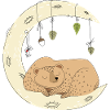 Bear sleeping moon
