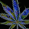 weedleaf digital artwork
