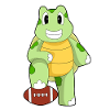 Turtle Football Sports