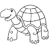 turtle, turtles, gift, gift idea