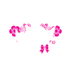 A Girl loves Pigs