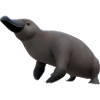 Cute Platypus Illustration