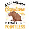 Life without Capybara Capybara Capybara