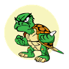 Lili the grumpy turtle