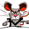 Kiké the grumpy rat