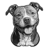 American Staffordshire Terrier