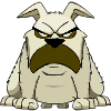Xilo the grumpy dog