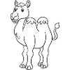 Camel, camels, gift, gift idea