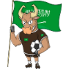 Taurus Fan Saudi Arabia