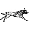Mieux rayé que petit - blanc