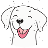 Dog smile