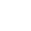Fake News