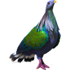 Illustration de pigeon grue