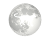 Full Moon - Cat -