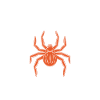 Spider Lover Gifts