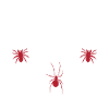 Spider Lover Gifts