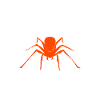Spider Lover Gifts
