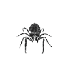 Spider Lover Gifts