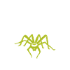 Spider Lover Gifts