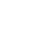 Chesapeake Bay Retriever "Black Edition"