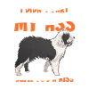 Vieux berger anglais Bobtail