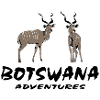 Botswana - Kudu Antelope