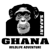 Ghana - Chimpanzees