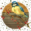 Bunter Vogel