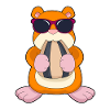 Hamster Sunglasses
