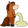 Pferd Toilette