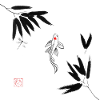 koi in water