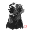 big dog